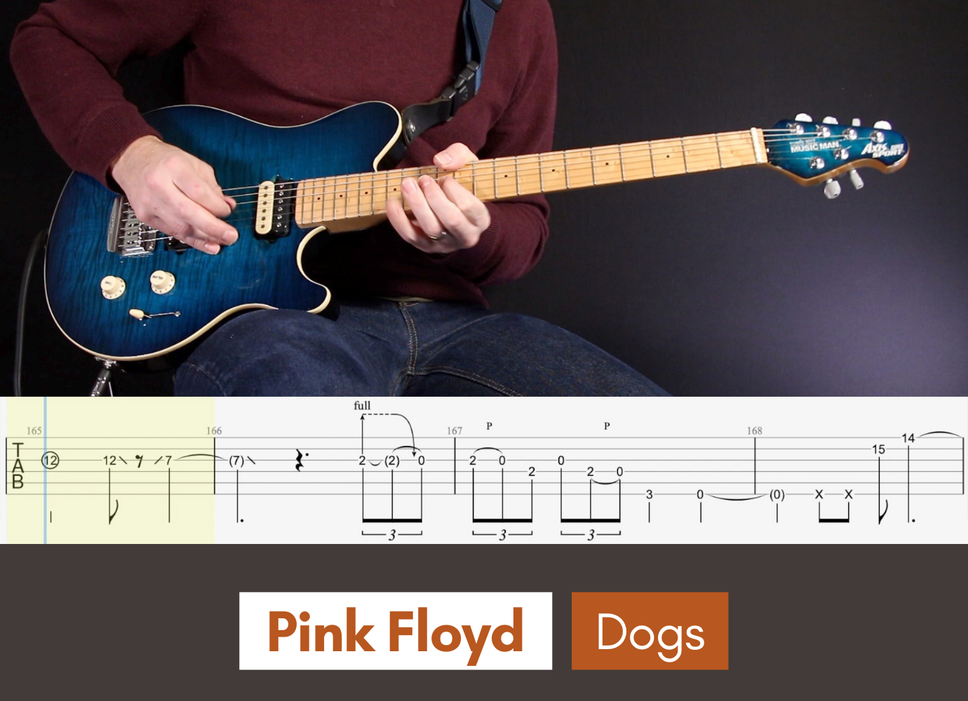 Dogs Pink Floyd Sparky Guitar